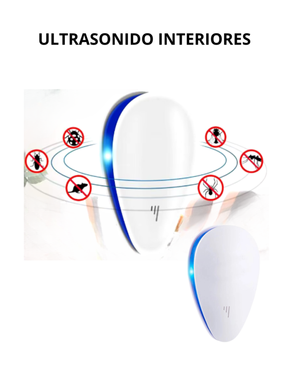 ULTRASONIDO INTERIORES